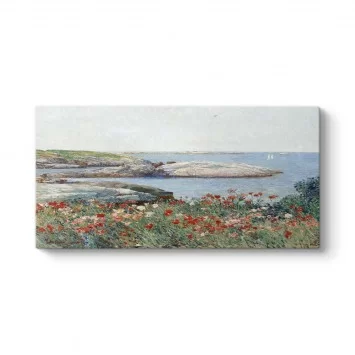 Childe Hassam - Poppies Isles of Shoals Tablosu