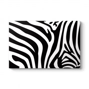 Zebra Deseni Vektörel Tablo