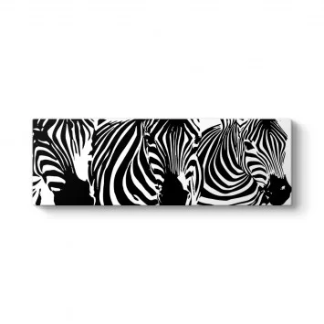 Zebra Desen Panorama Tablo