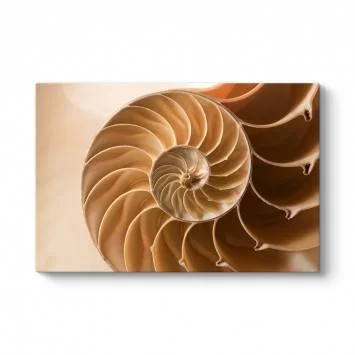 Spiral Tablosu