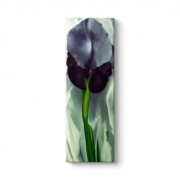 Georgia OKeeffe - Black Iris Tablosu