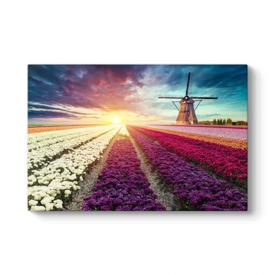 Hollanda Nederlands Çiçek Tarlası Tablosu