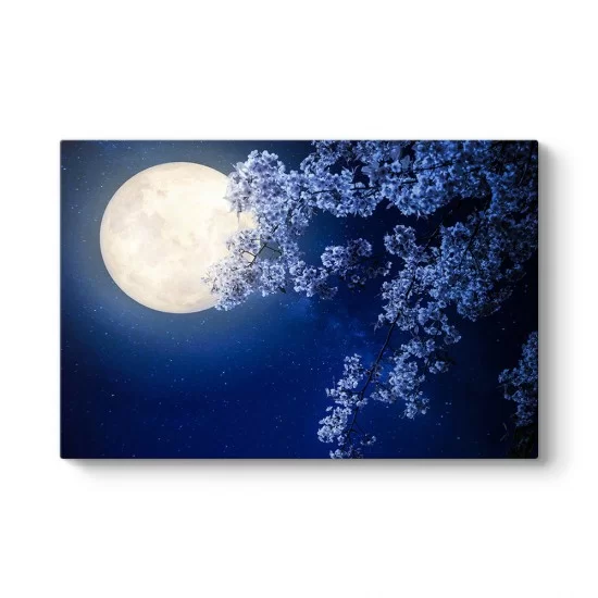 Ay ve Kiraz Çiçeği Tablosu