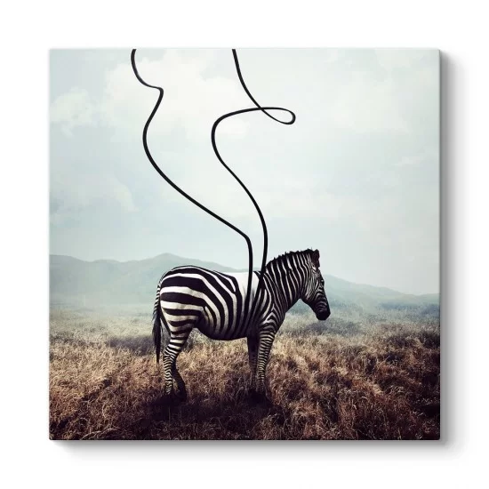 Sürreal Zebra Kanvas Tablo