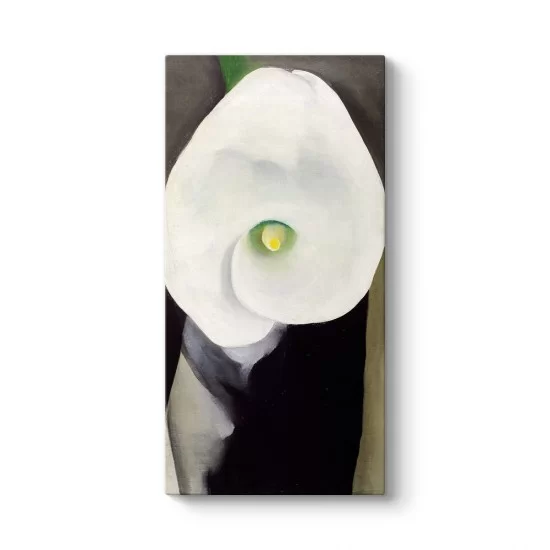 Georgia OKeeffe - Calla Lily for Alfred Tablosu